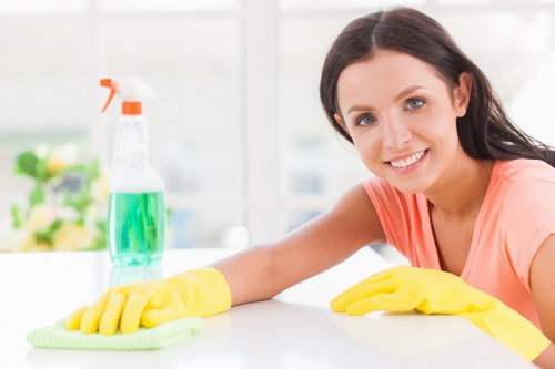 Office cleaning team maintaining a tidy workplace in Earlscourt