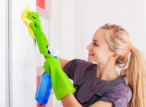 Carpet cleaning appointment preparation and service terms