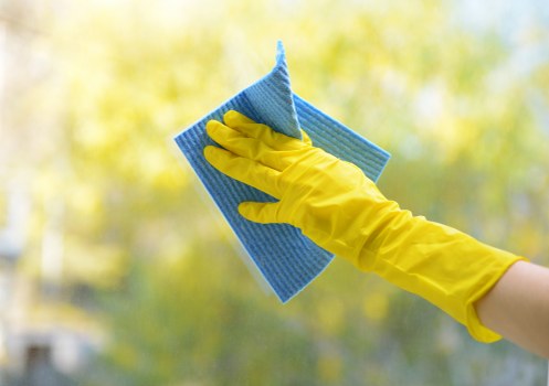 Professional upholstery cleaning for Earlscourt homes and sofas