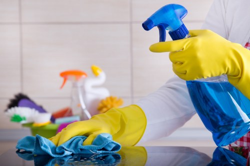 Professional house cleaning for Earlscourt homes and apartments