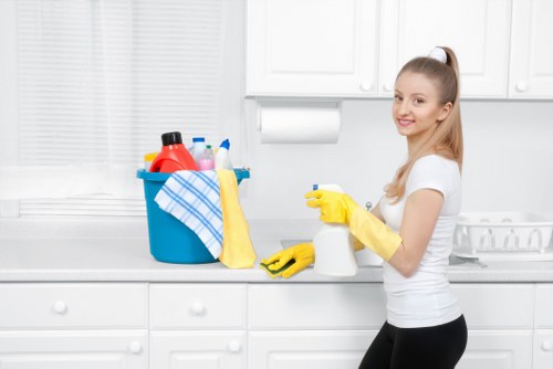 Professional window cleaning for an Earlscourt home exterior