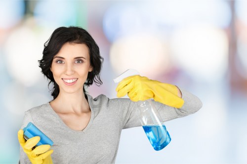 Housekeeping service for a busy Earlscourt property with practical cleaning needs