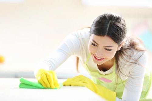 Professional exterior cleaning for local residential and commercial properties