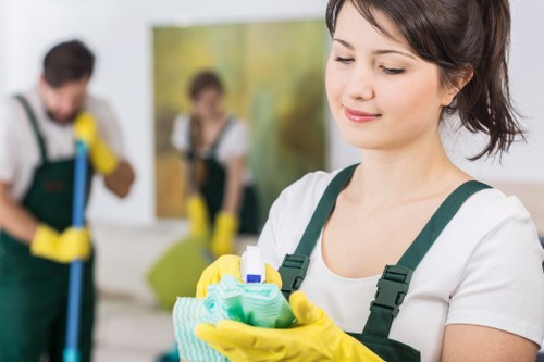 Thorough residential deep cleaning in Earlscourt