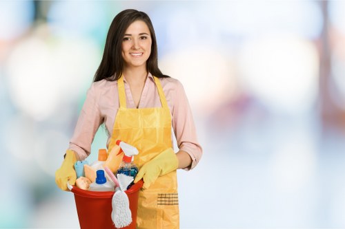 Local cleaner working in a typical Earlscourt apartment interior